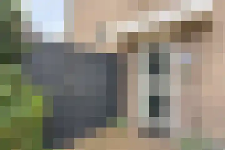 Bieslanderweg 15 Maastricht thumbnail 5