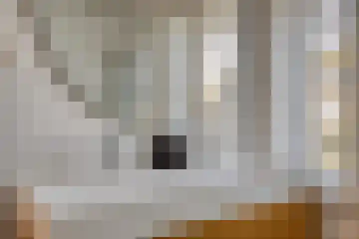 Bieslanderweg 17 Maastricht thumbnail 21