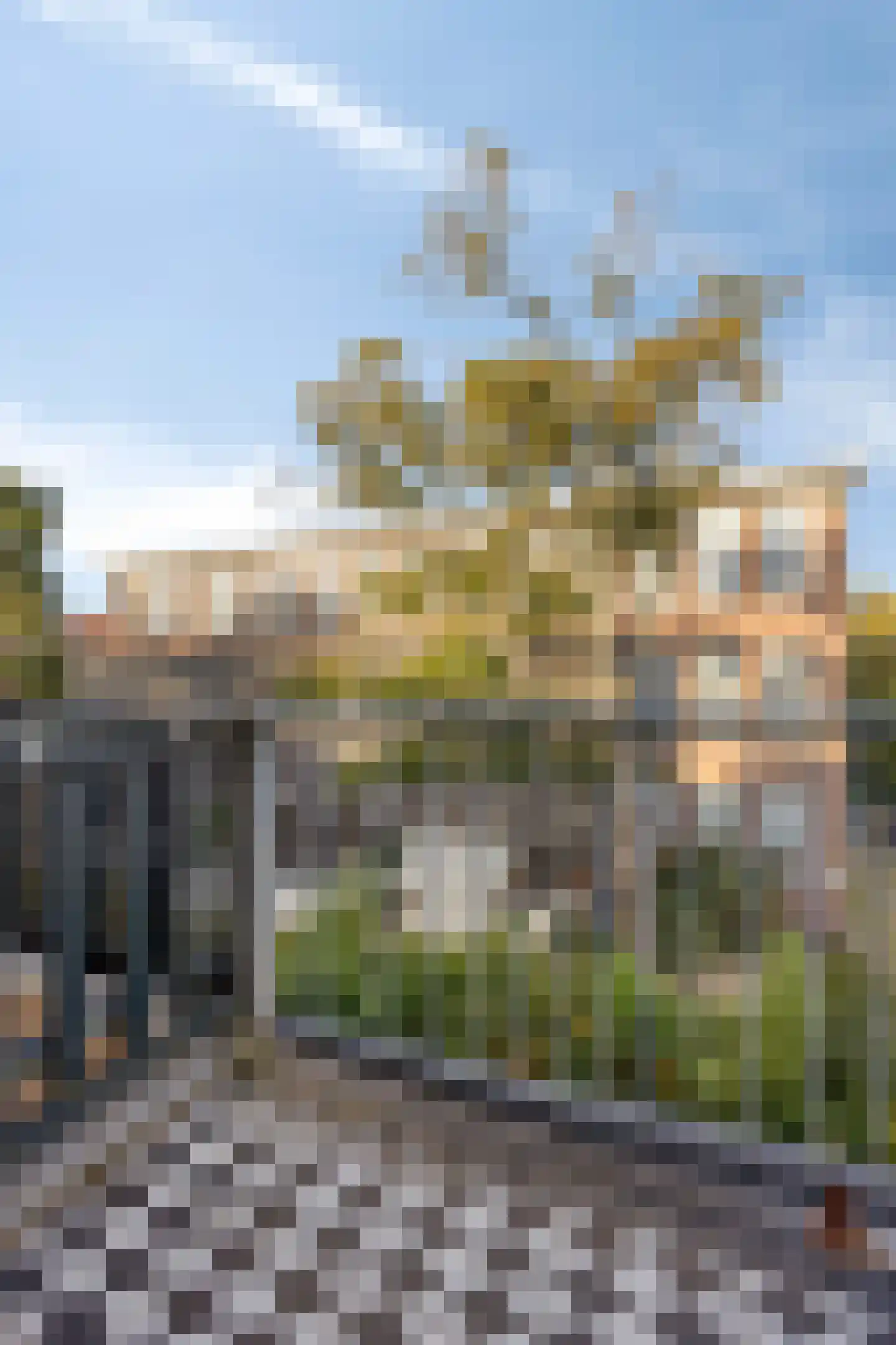 Bieslandstraat 65 C Rotterdam thumbnail 19