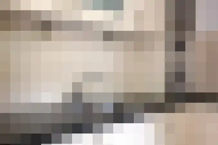 Bieslook 10 Oisterwijk thumbnail 13