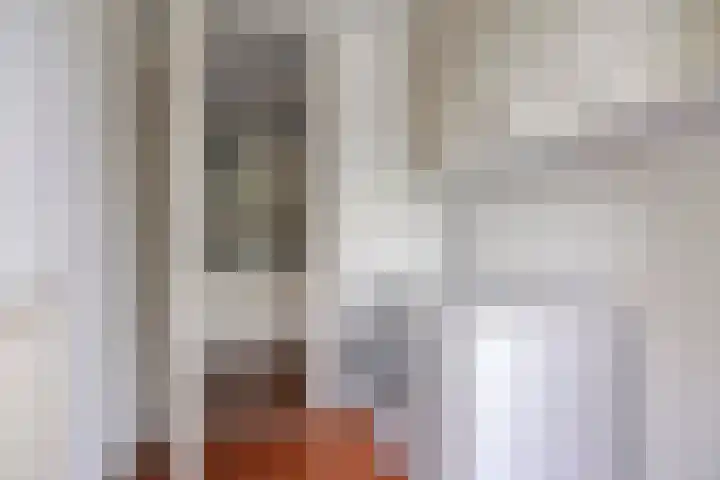 Bieslook 10 Oisterwijk thumbnail 15