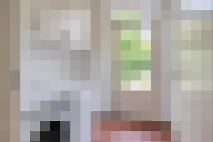 Bieslook 10 Oisterwijk thumbnail 16