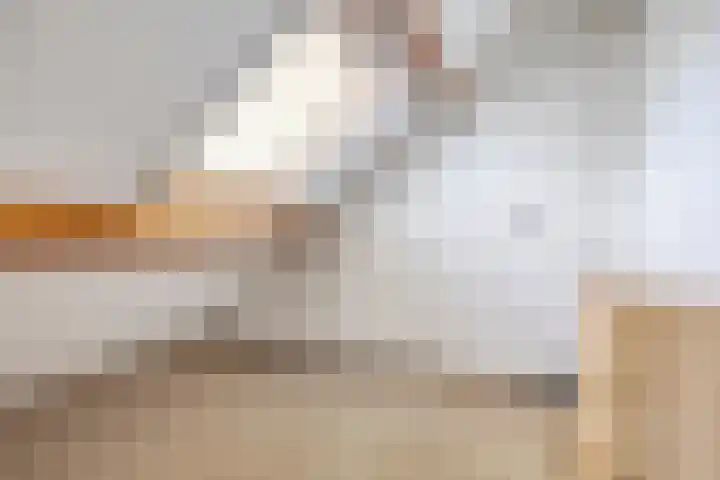 Bieslook 10 Oisterwijk thumbnail 31