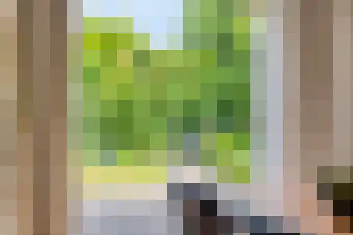 Bieslook 10 Oisterwijk thumbnail 33