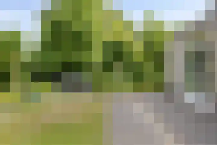 Bieslook 10 Oisterwijk thumbnail 34