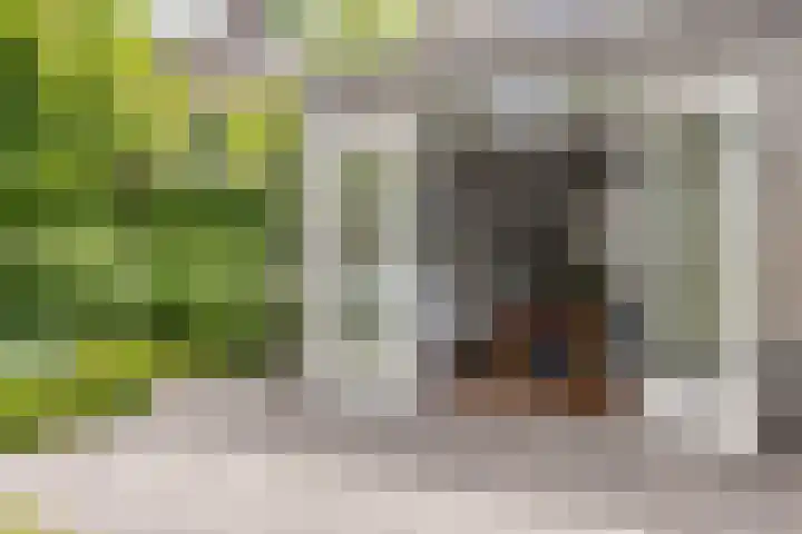 Bieslook 10 Oisterwijk thumbnail 35