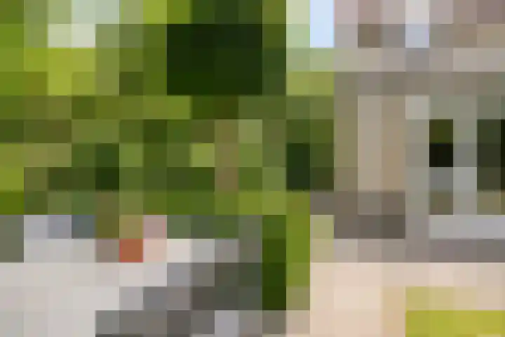 Bieslook 10 Oisterwijk thumbnail 36
