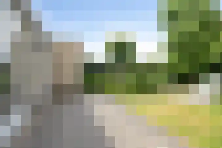 Bieslook 10 Oisterwijk thumbnail 37