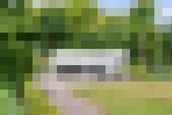 Bieslook 10 Oisterwijk thumbnail 38