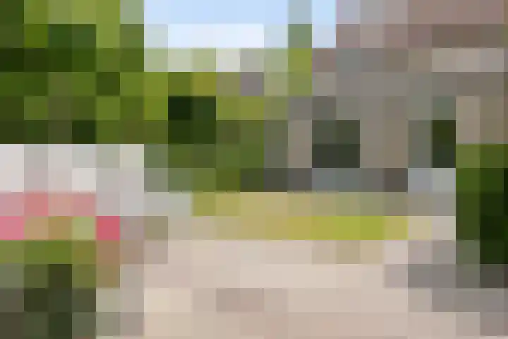 Bieslook 10 Oisterwijk thumbnail 39