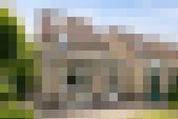 Bieslook 10 Oisterwijk thumbnail 40