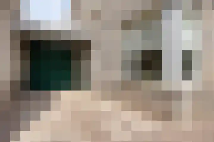 Bieslook 10 Oisterwijk thumbnail 42