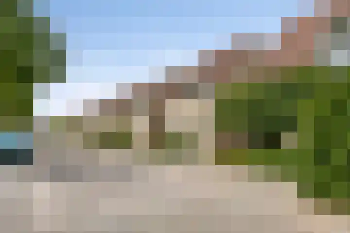 Bieslook 10 Oisterwijk thumbnail 43