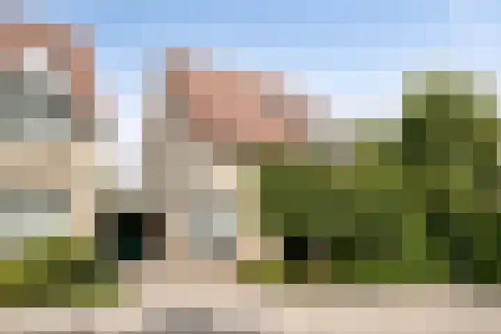 Bieslook 10 Oisterwijk thumbnail 47
