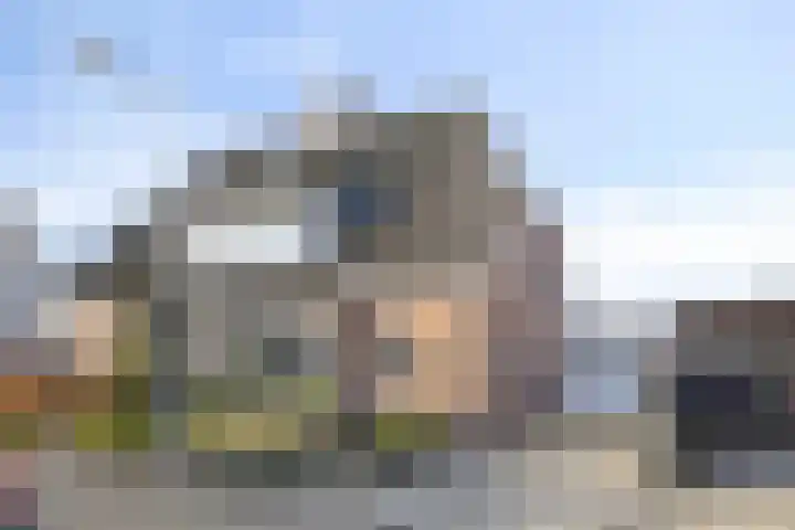 Bieslook 14 in Noordscheschut