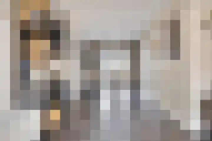 Bieslook 14 Noordscheschut thumbnail 11