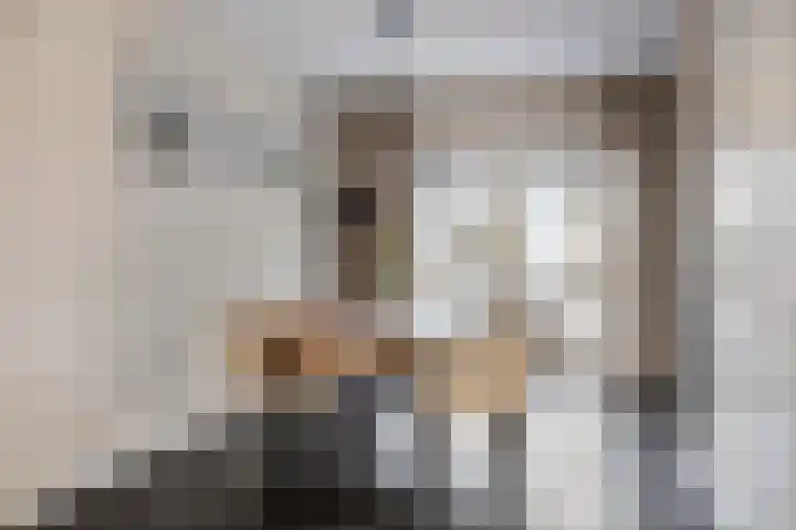 Bieslook 14 Noordscheschut thumbnail 12