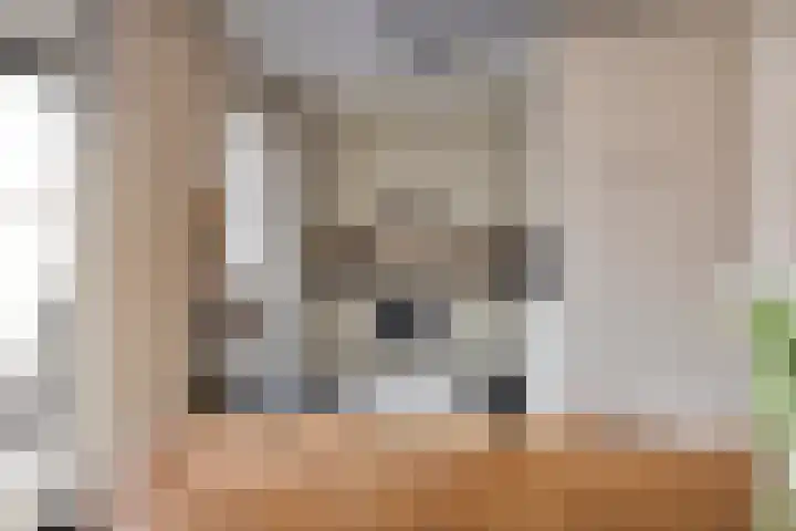 Bieslook 14 Noordscheschut thumbnail 16