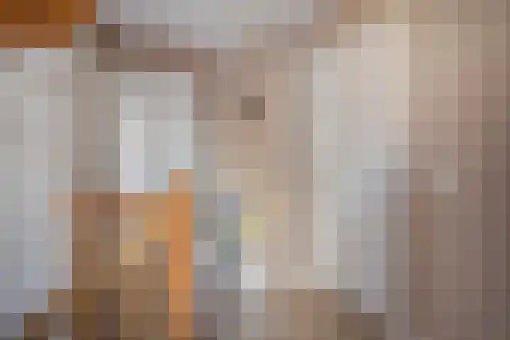 Bieslook 14 Noordscheschut thumbnail 24