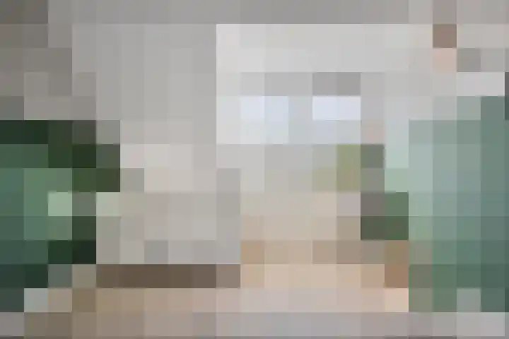 Bieslook 14 Noordscheschut thumbnail 31