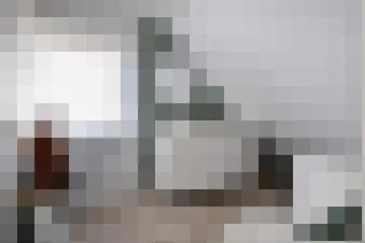 Bieslook 14 Noordscheschut thumbnail 33