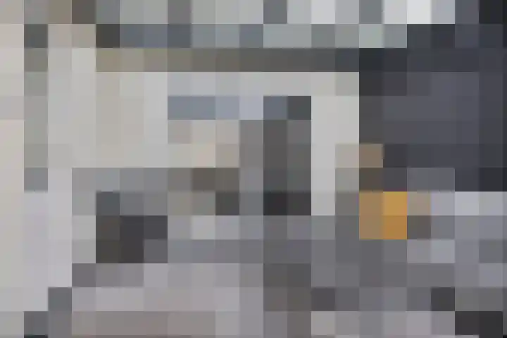 Bieslook 14 Noordscheschut thumbnail 39