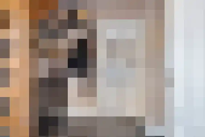 Bieslook 14 Noordscheschut thumbnail 4