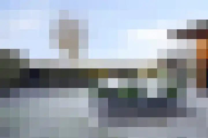 Bieslook 14 Noordscheschut thumbnail 41