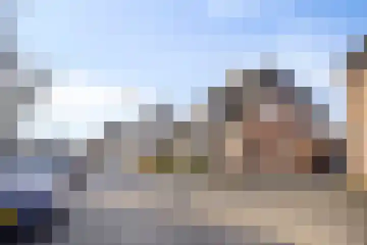 Bieslook 14 Noordscheschut thumbnail 47