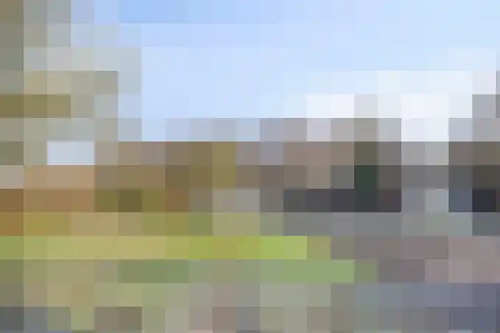 Bieslook 14 Noordscheschut thumbnail 50