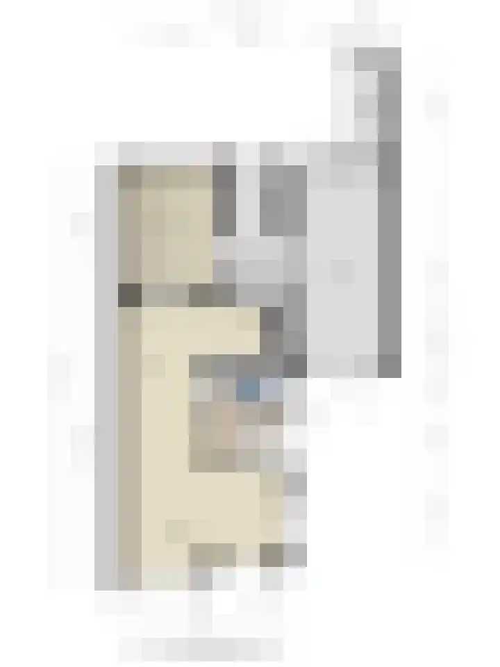 Bieslook 14 Noordscheschut thumbnail 51
