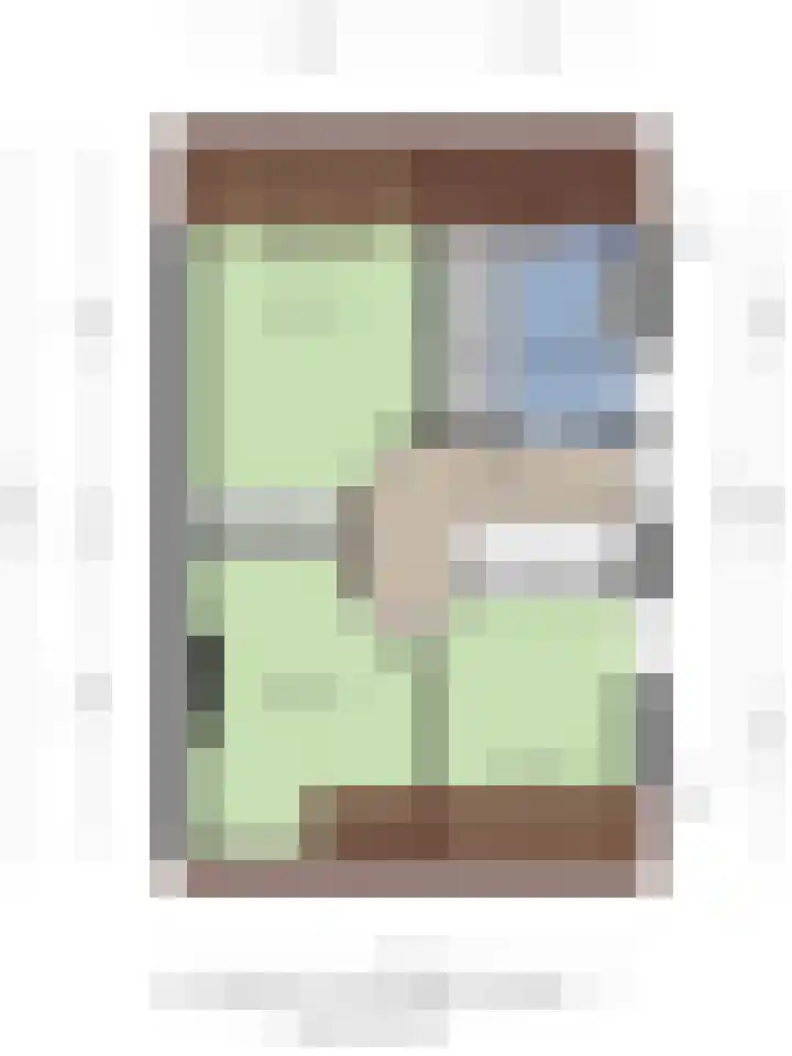 Bieslook 14 Noordscheschut thumbnail 52