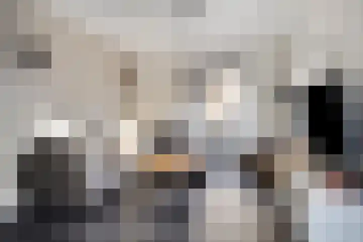 Bieslook 14 Noordscheschut thumbnail 8