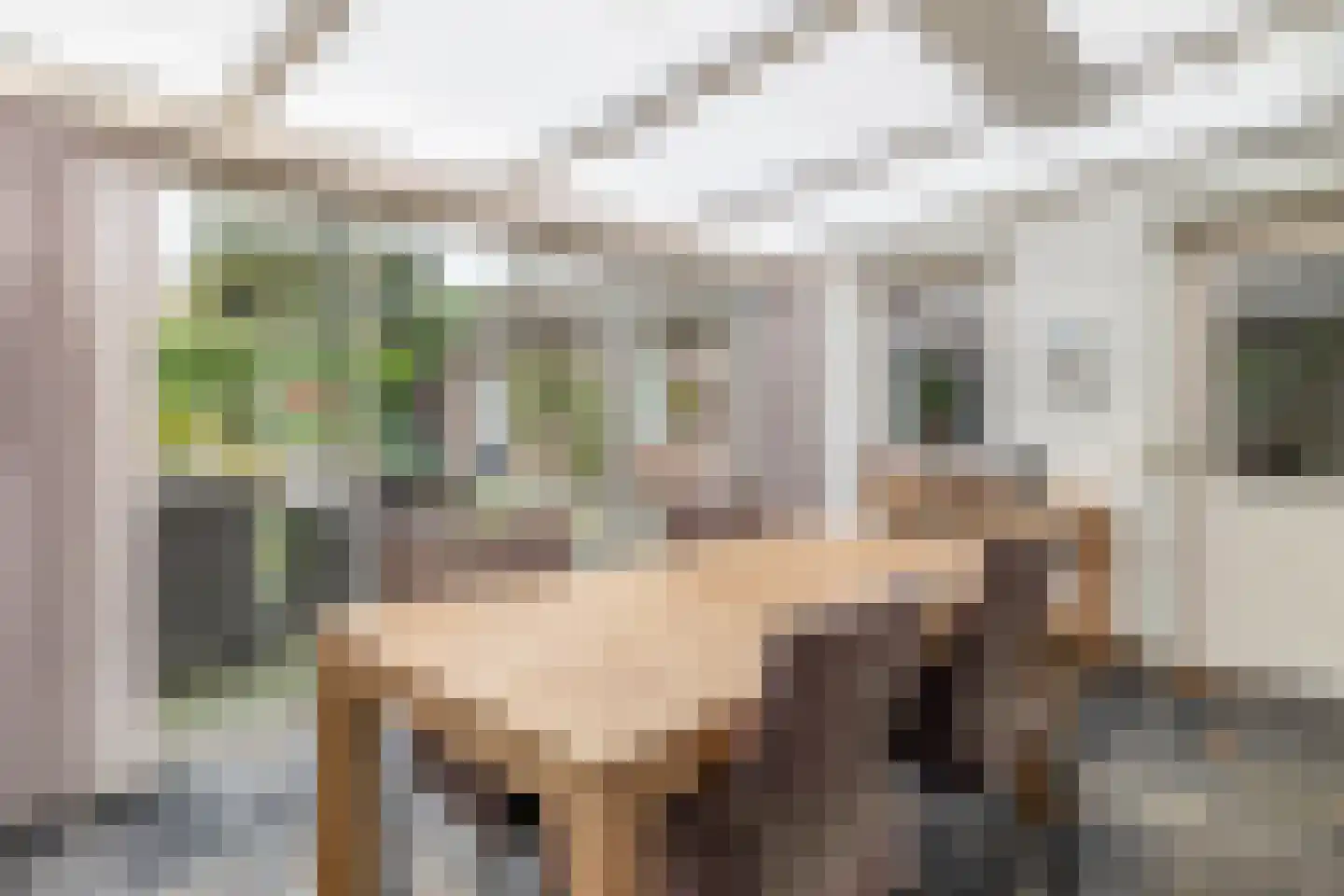 Bieslook 14 Sint-Oedenrode thumbnail 15