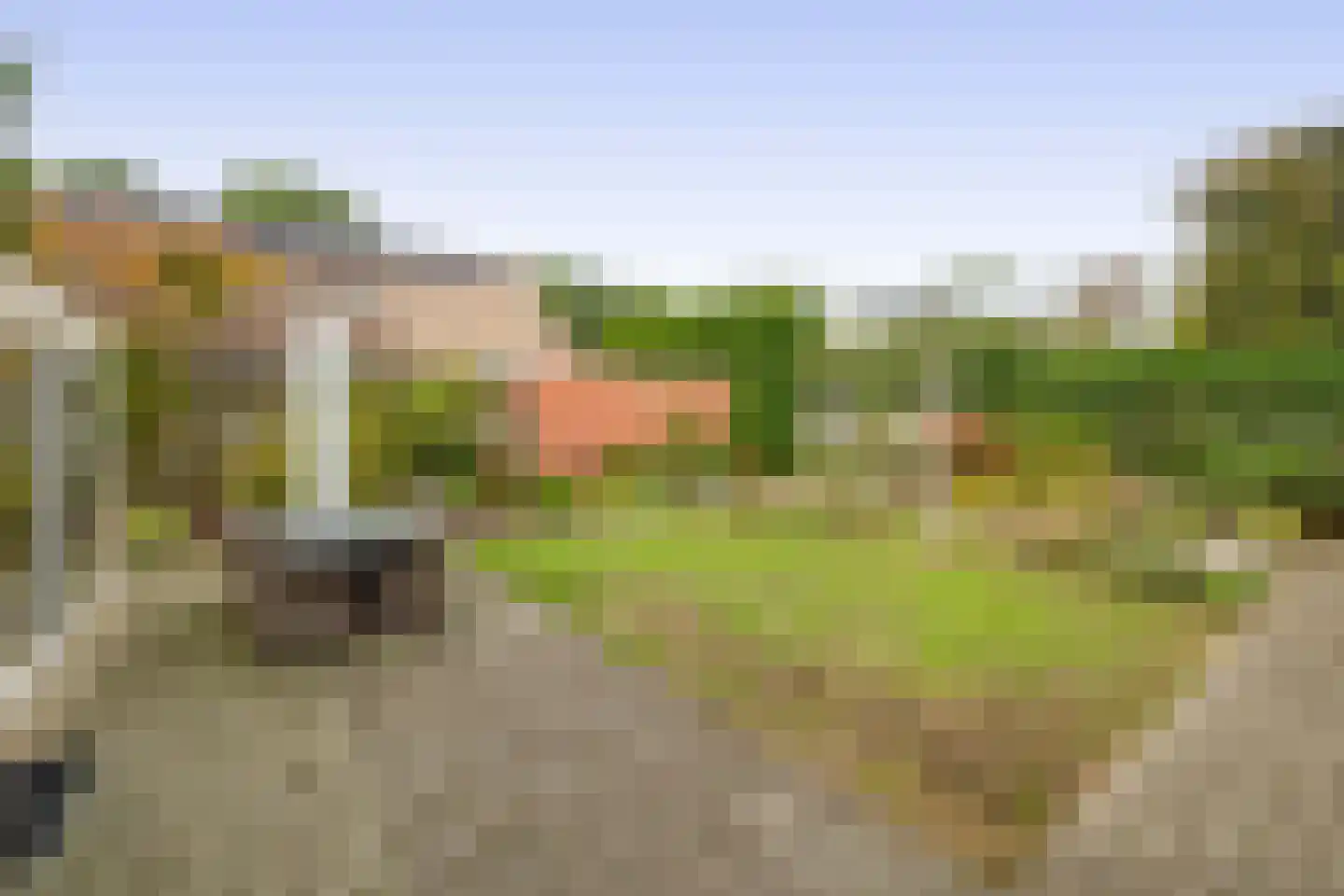 Bieslook 14 Sint-Oedenrode thumbnail 29