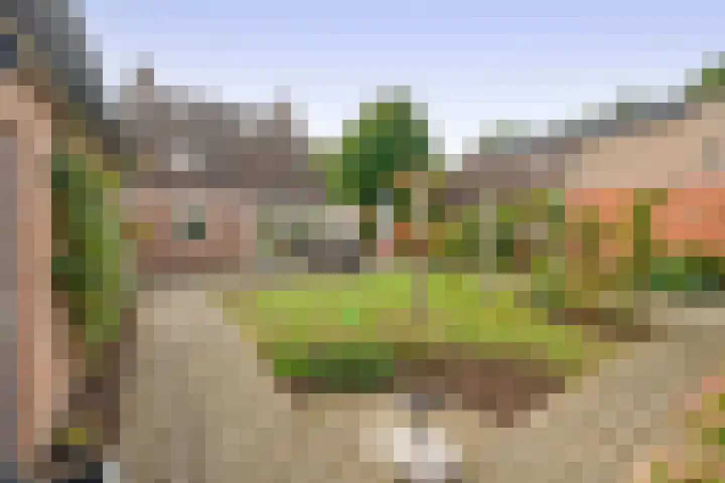 Bieslook 14 Sint-Oedenrode thumbnail 30