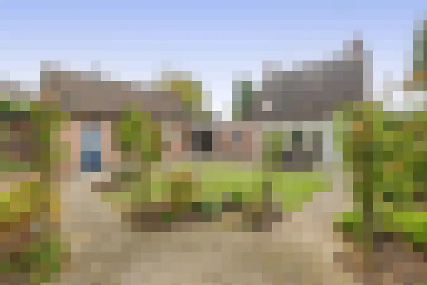 Bieslook 14 Sint-Oedenrode thumbnail 31