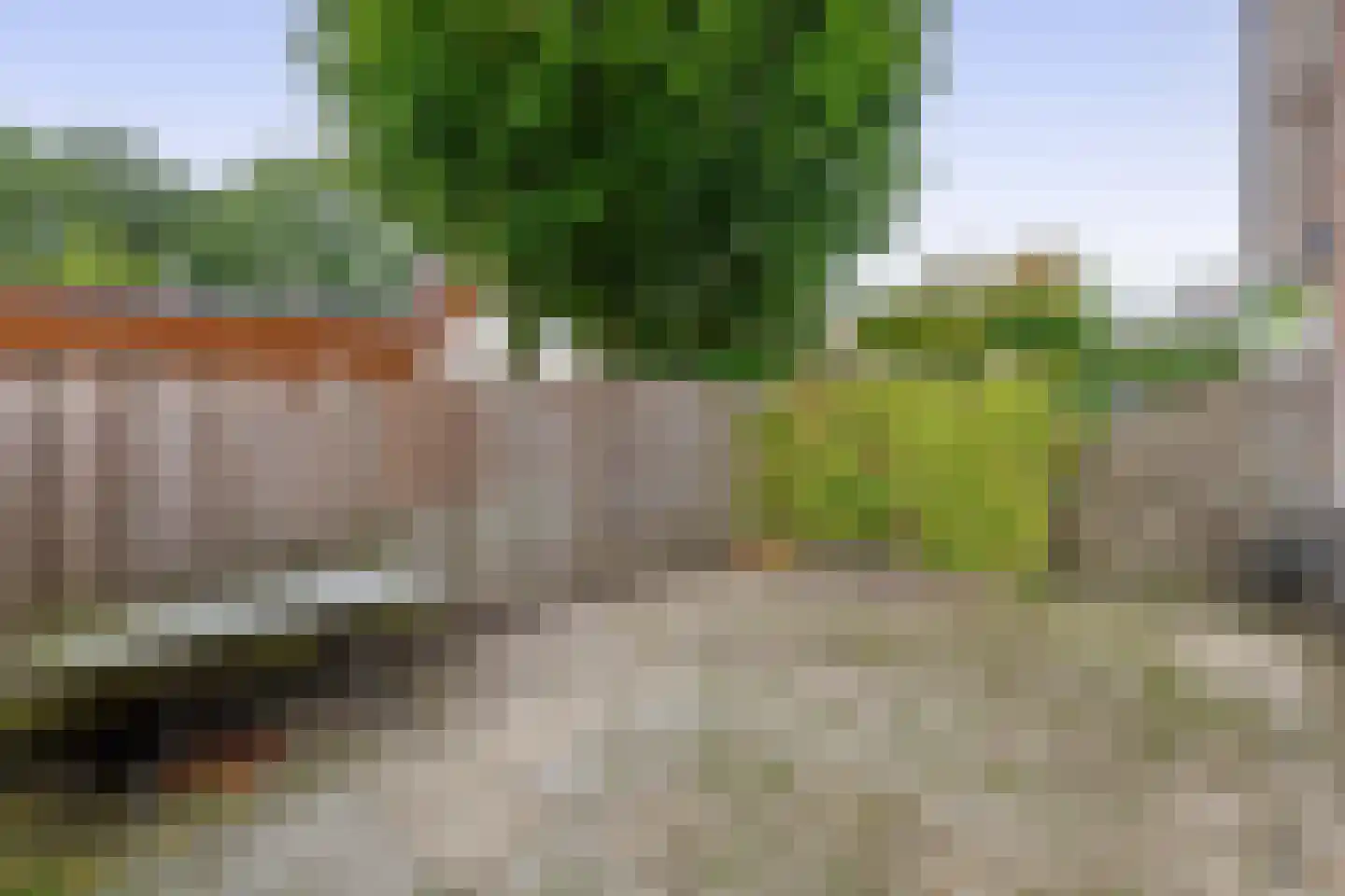 Bieslook 14 Sint-Oedenrode thumbnail 35