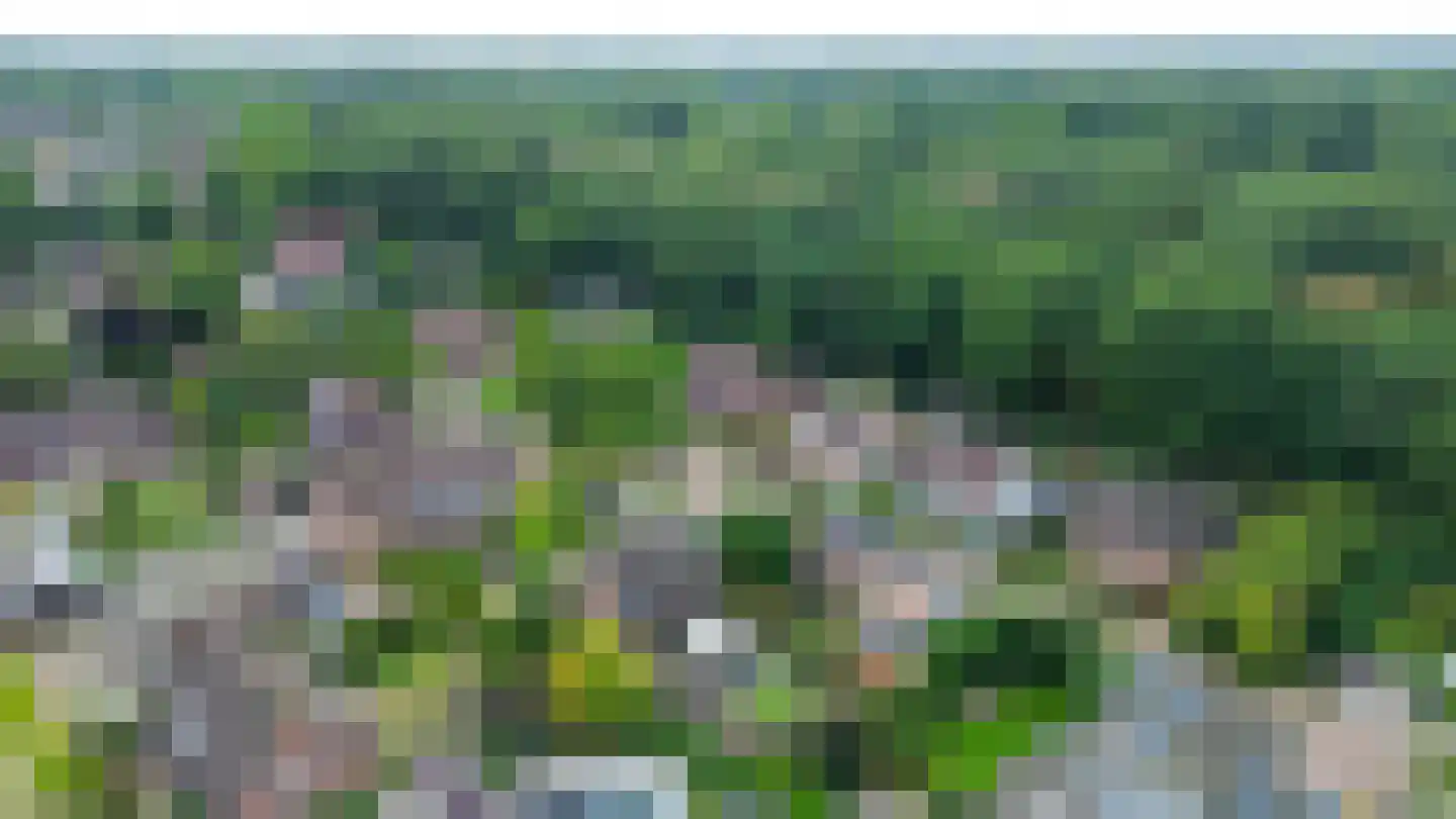 Bieslook 14 Sint-Oedenrode thumbnail 37