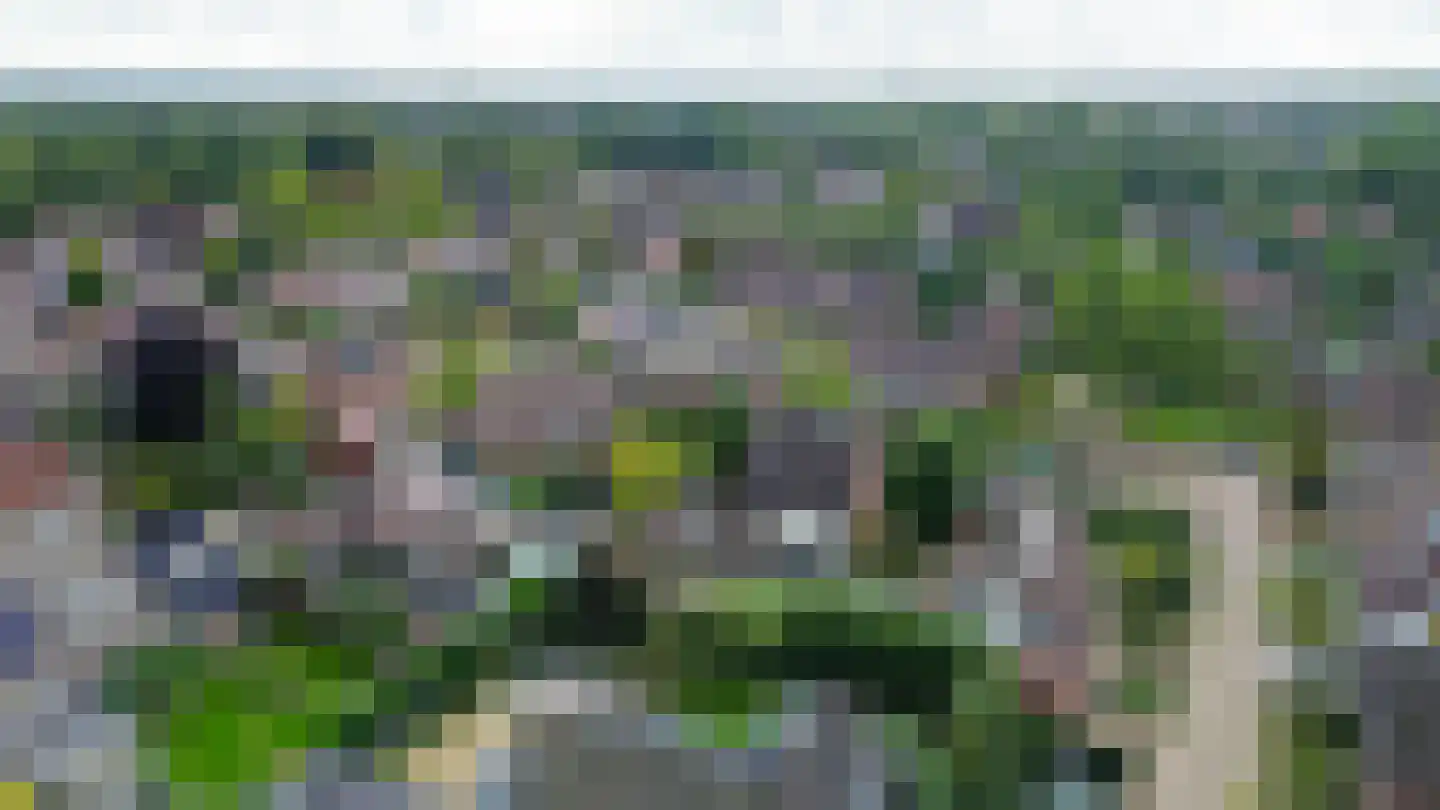 Bieslook 14 Sint-Oedenrode thumbnail 39