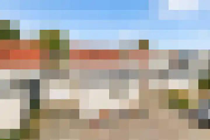 Bieslook 2 in Dronten