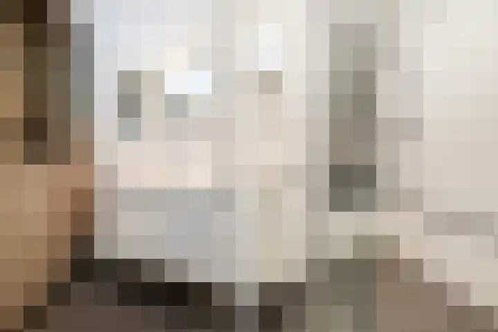 Bieslook 2 Dronten thumbnail 13