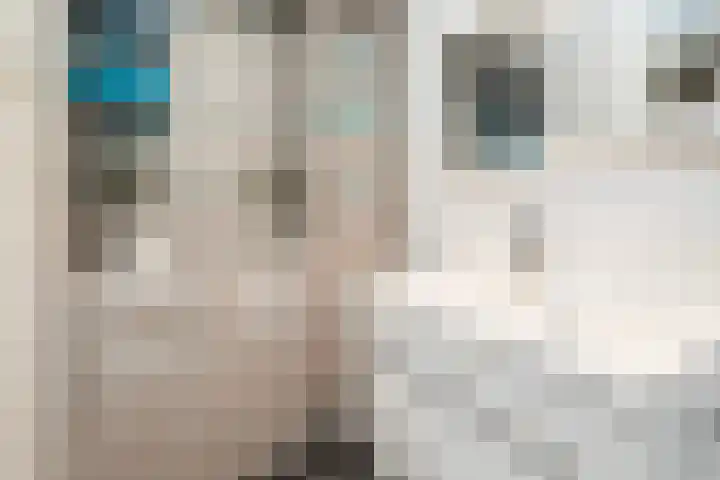 Bieslook 2 Dronten thumbnail 14
