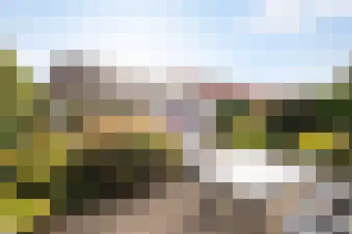 Bieslook 2 Dronten thumbnail 21
