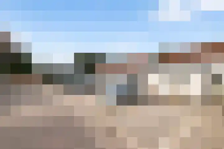 Bieslook 2 Dronten thumbnail 23
