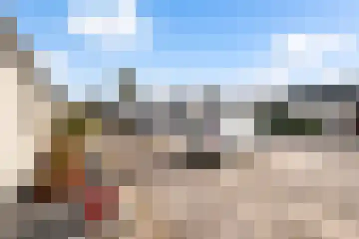 Bieslook 2 Dronten thumbnail 24