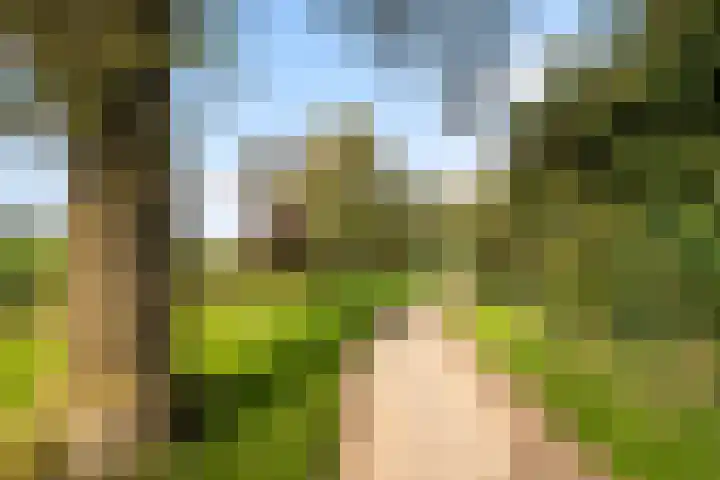 Bieslook 2 Dronten thumbnail 25