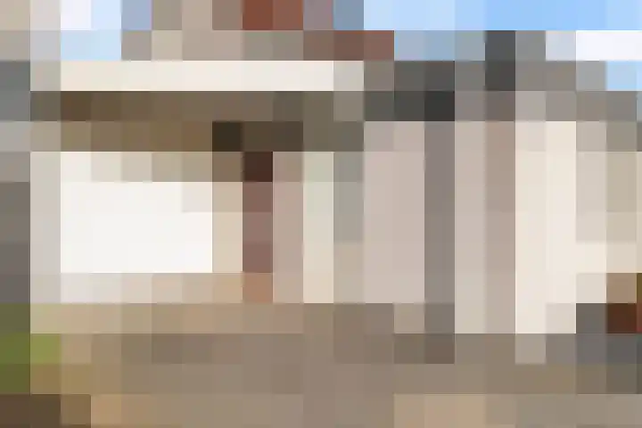 Bieslook 2 Dronten thumbnail 4