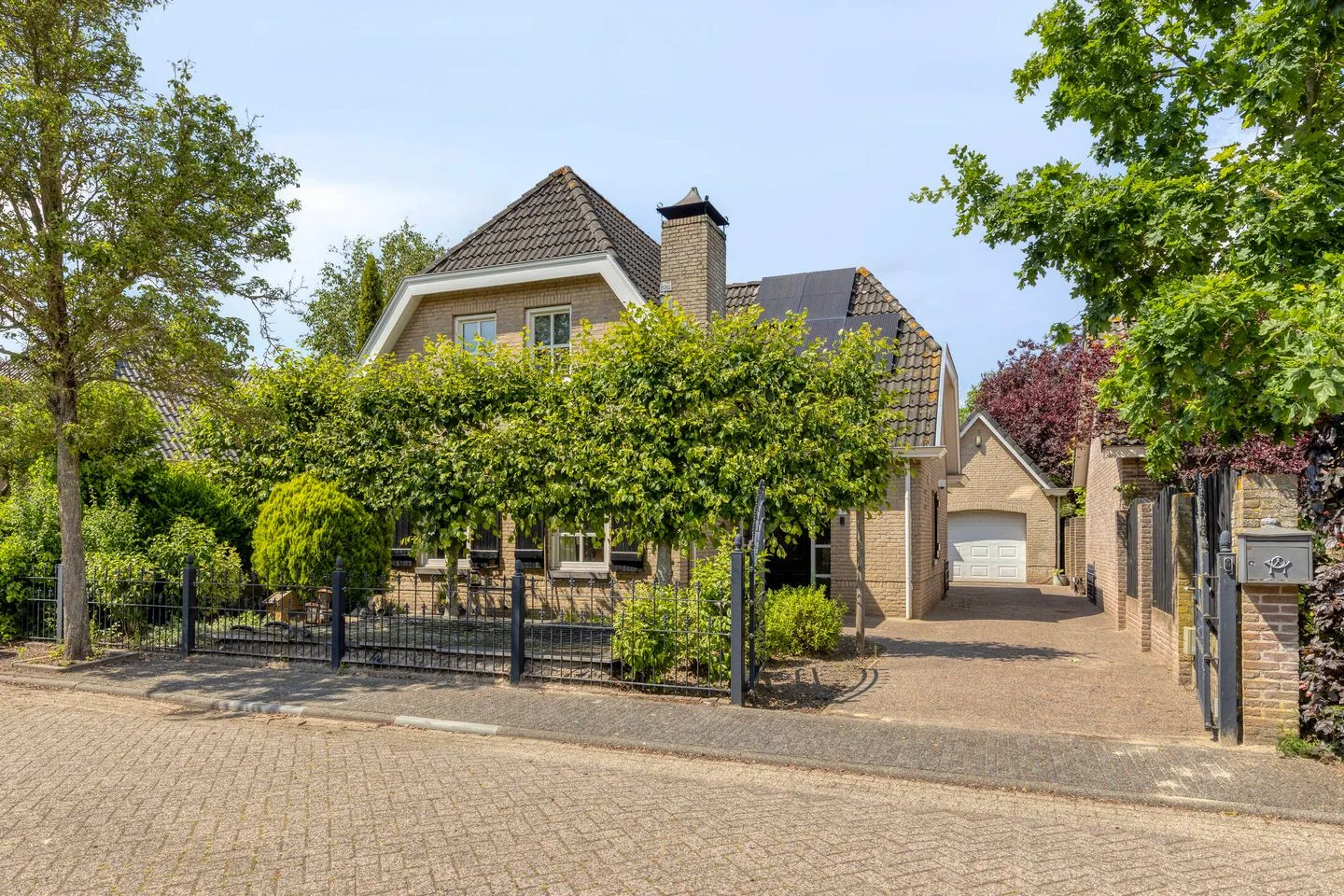 Bieslook 2 Oud Gastel