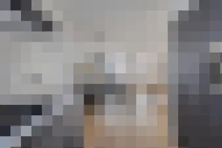 Bieslook 23 Oisterwijk thumbnail 12
